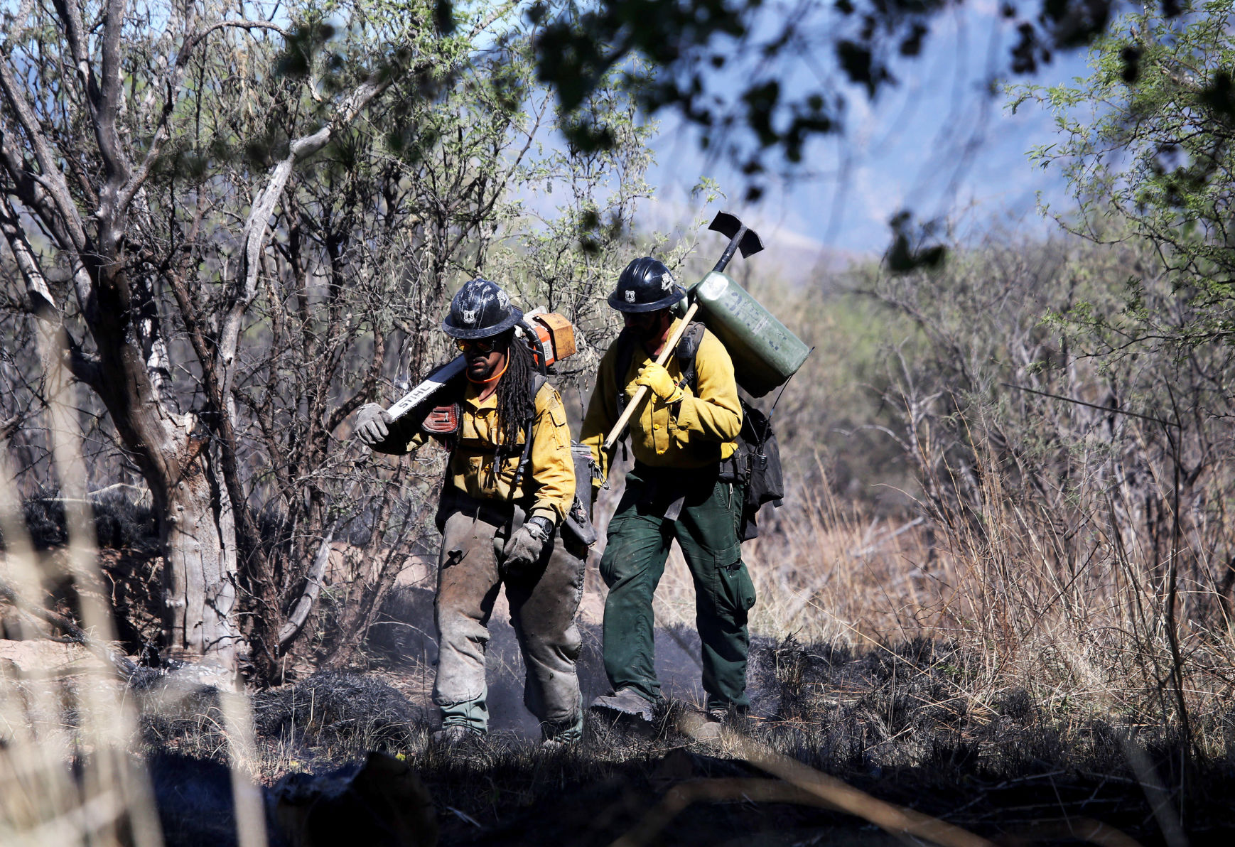 Sawmill Fire